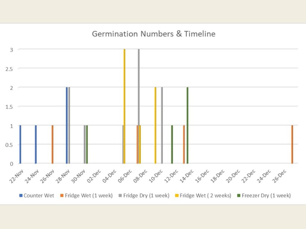 A chart showing a germination timeline for lavender seeds under various conditions.