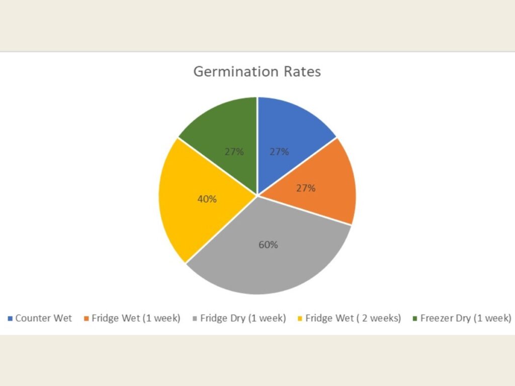 A chart outlining different germination rates for lavender seeds under various conditions.