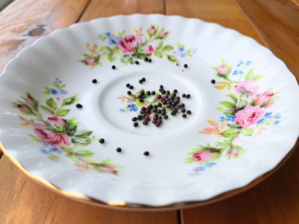 Sage seeds laying on an antique floral plate.