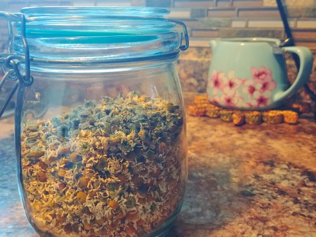 Dried chamomile flowers sitting in a clear glass jar on the counter. There is a small teapot in the background.
