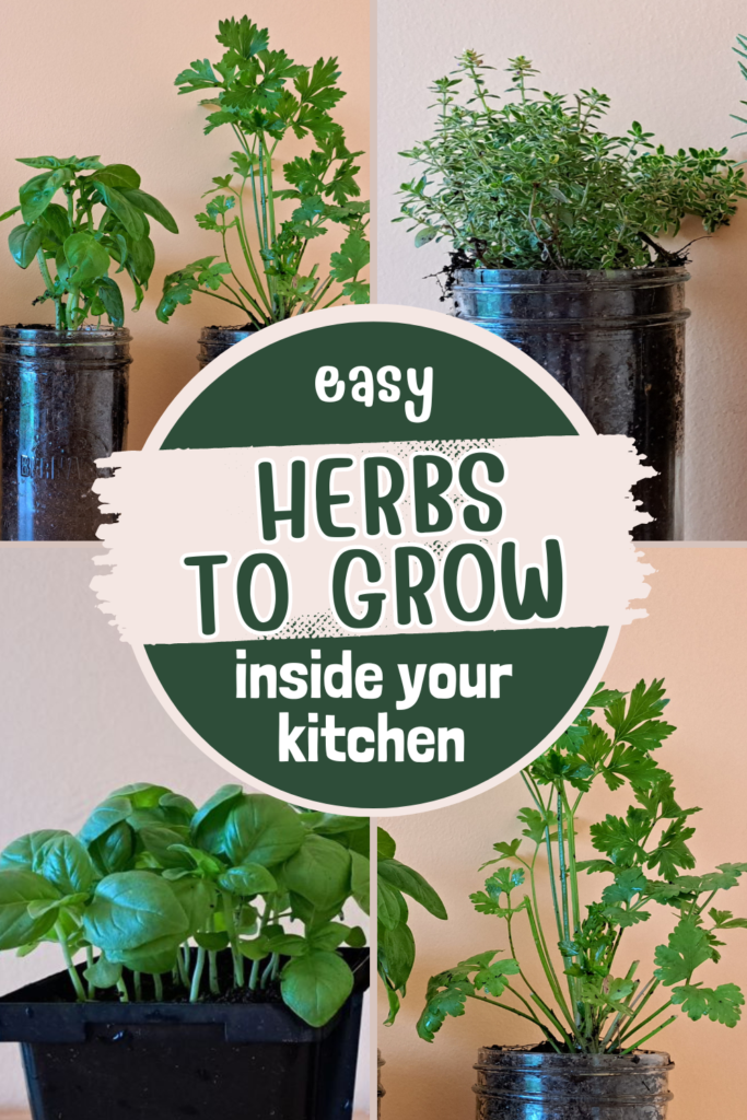 9 (Easy) Must Have Herbs to Grow in the Kitchen