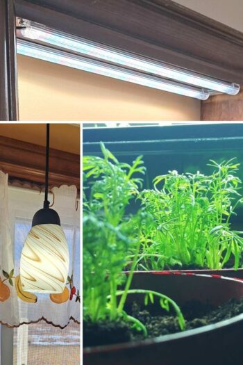 A collage of three images showing two different grow lights and herbs growing under them.