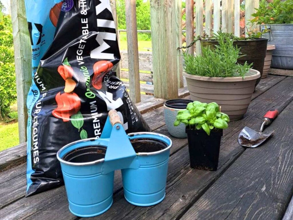 A bag of soil and herbs being potted up on the balcony.