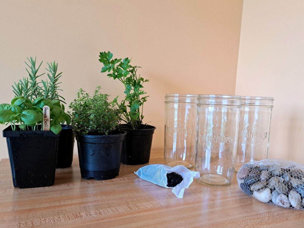 Materials gathered for growing herbs in mason jars. Herbs, jars, rocks, and charcoal all laid out on the kitchen counter.