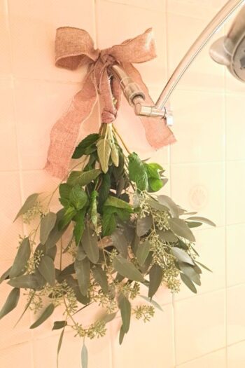 Herbs hanging in the shower with a burlap bow around the shower head.