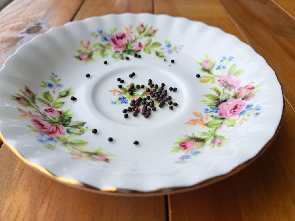 Sage seeds sitting on a antique floral plate.