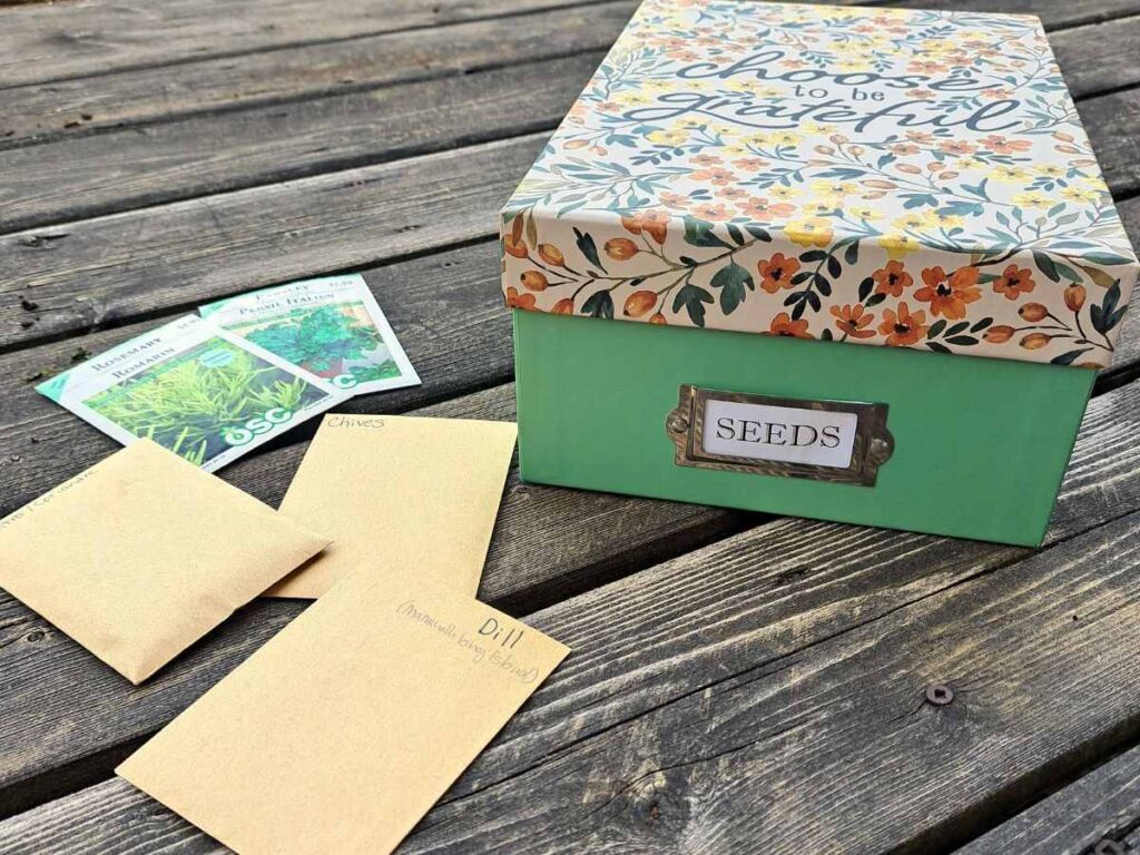 A box labeled seeds, with five seed packets laying beside it on a wooden surface.