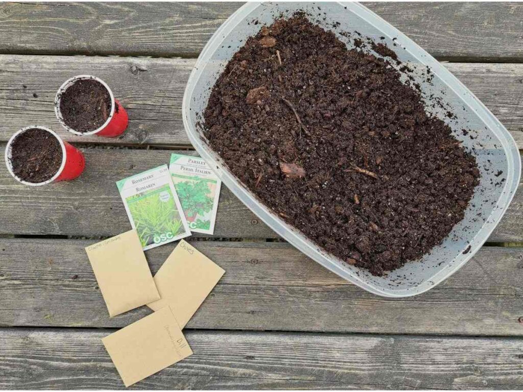 Materials gathered for herb seed germination out on a wooden deck.