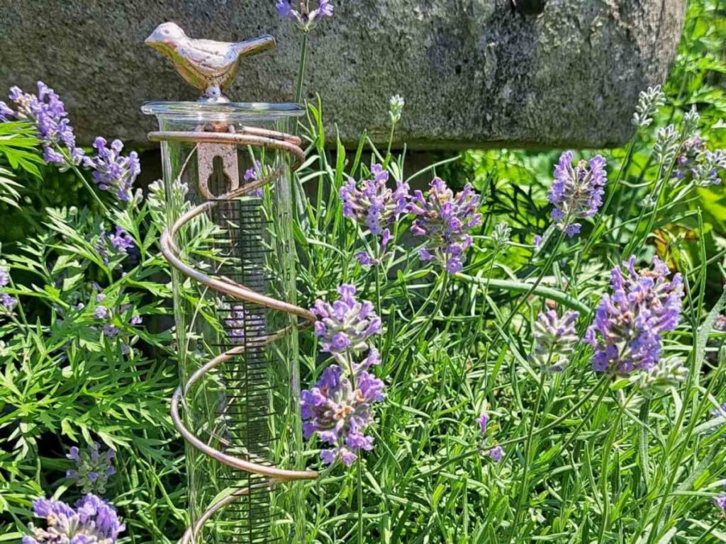 A decorative rain gauge with a bird on the top stuck into the garden bed.