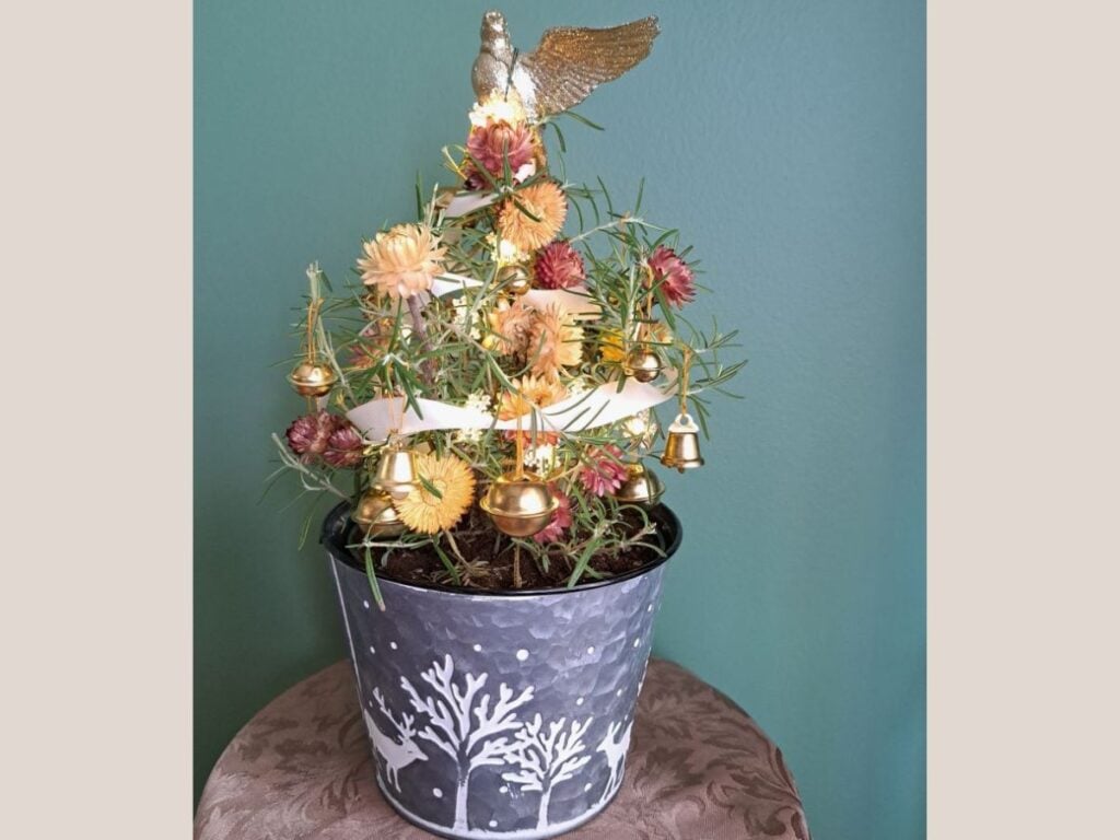 A close up of a rosemary Christmas tree inside on a small table. It is decorated with ribbon, bells, dried flowers, and a gold dove tree topper.