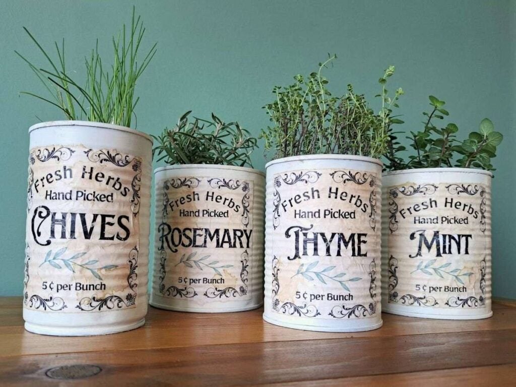Tin can planters on a wooden counter top with herbs growing in them.