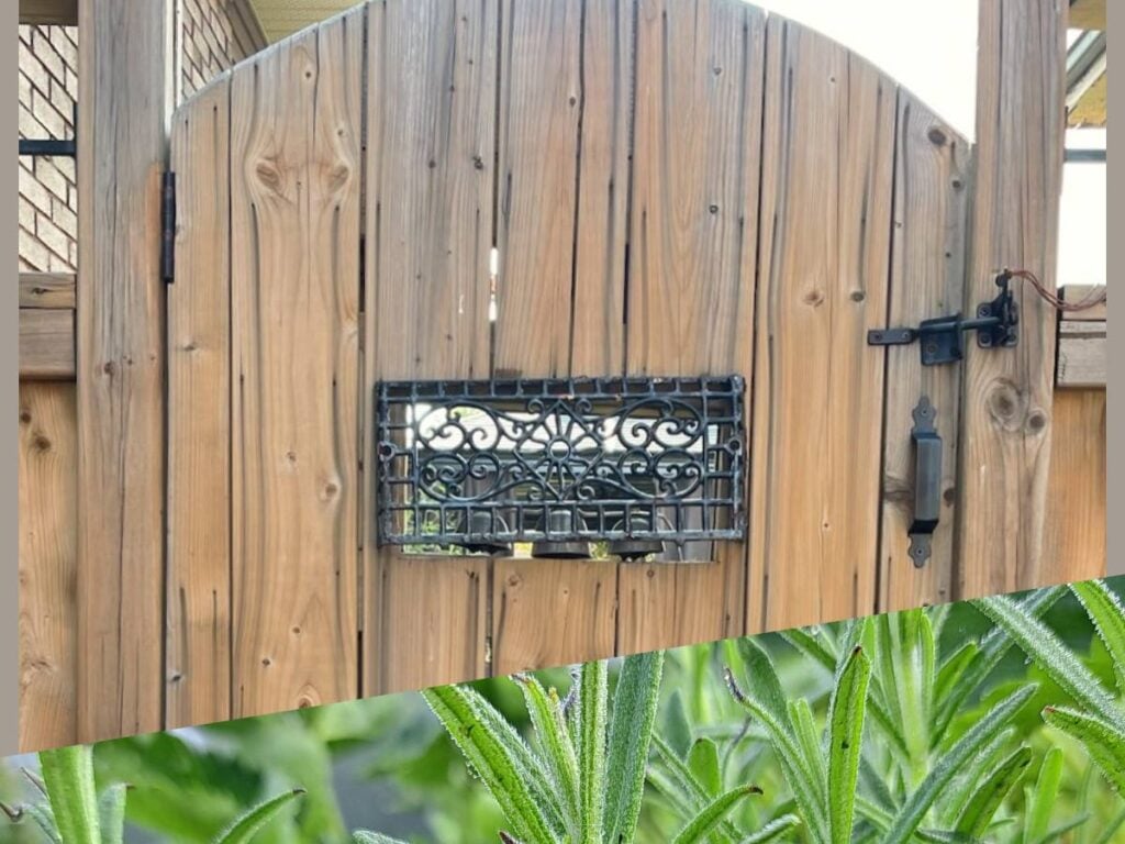 A wooden gate with an iron window in the middle and an image of rosemary overlayed along the bottom of the photo.