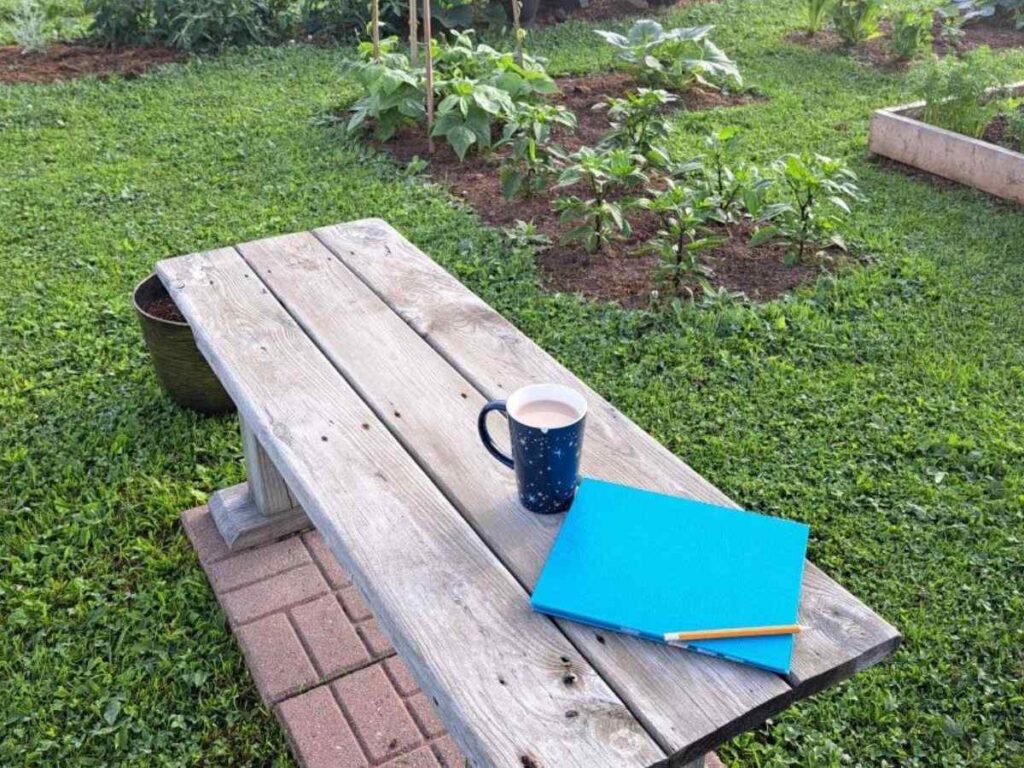 A wooden bench in the middle of the garden with a garden journal, a cup of tea, and a pencil on it.