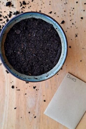 A small pot of dirt with a chive seed packet beside it on a wooden table.