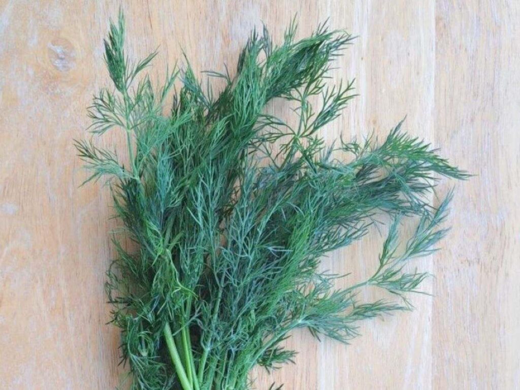 A close up of dill leaves with a wooden surface behind them.