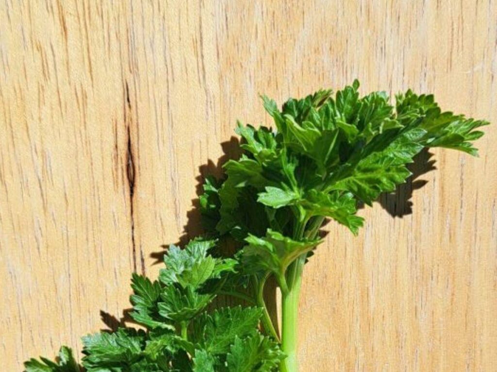 A close up of parsley leaves with a wooden surface behind them.