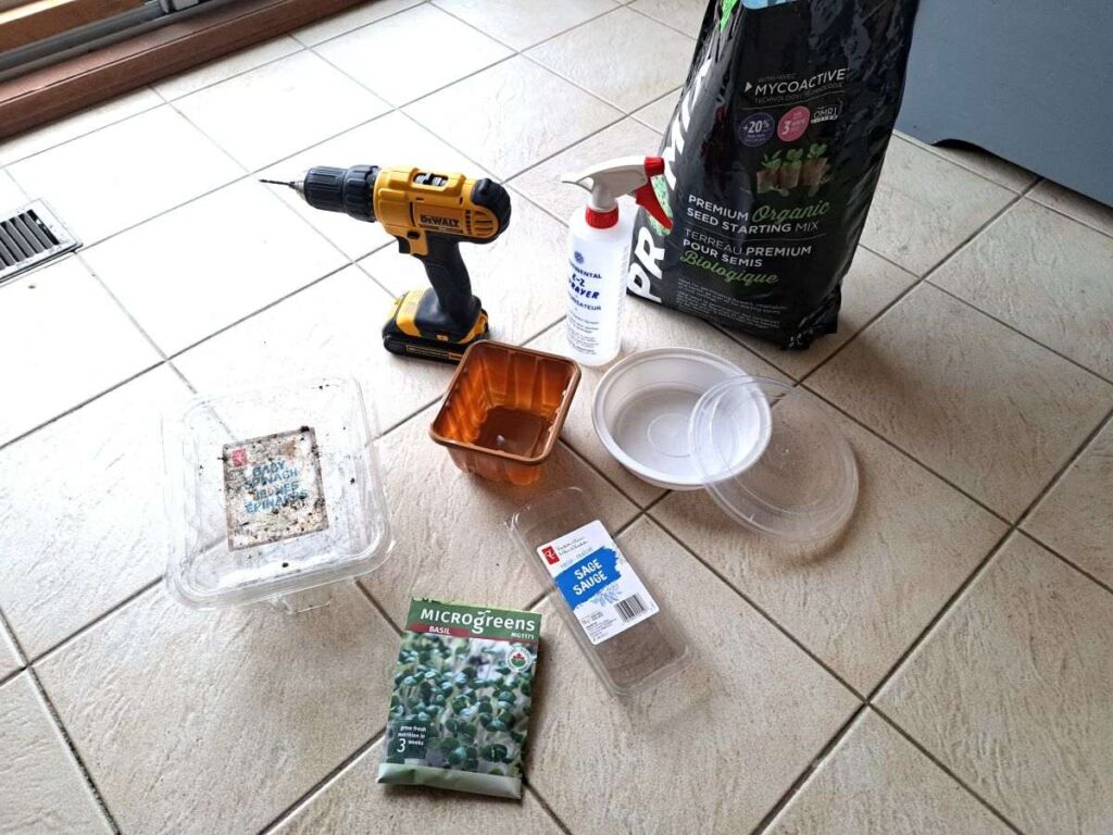 Supplies gathered to grow basil microgreens.