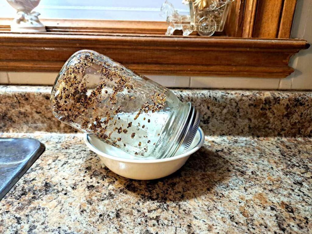 A sprouting jar beside the kitchen sink inverted in a bowl.