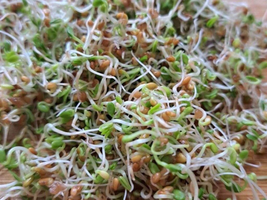 A close up of clover sprouts on a wooden cutting board.