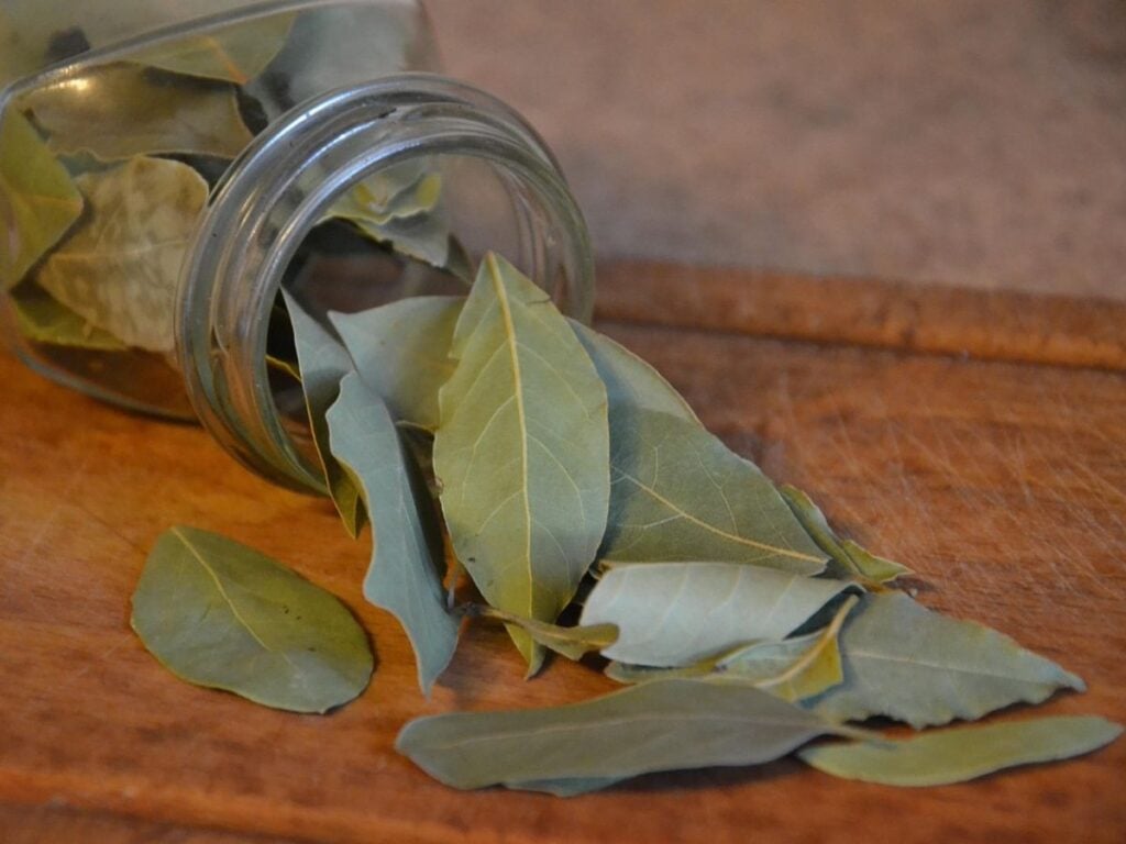 Bay leaves spilling out of a clear glass container on a wooden counter.