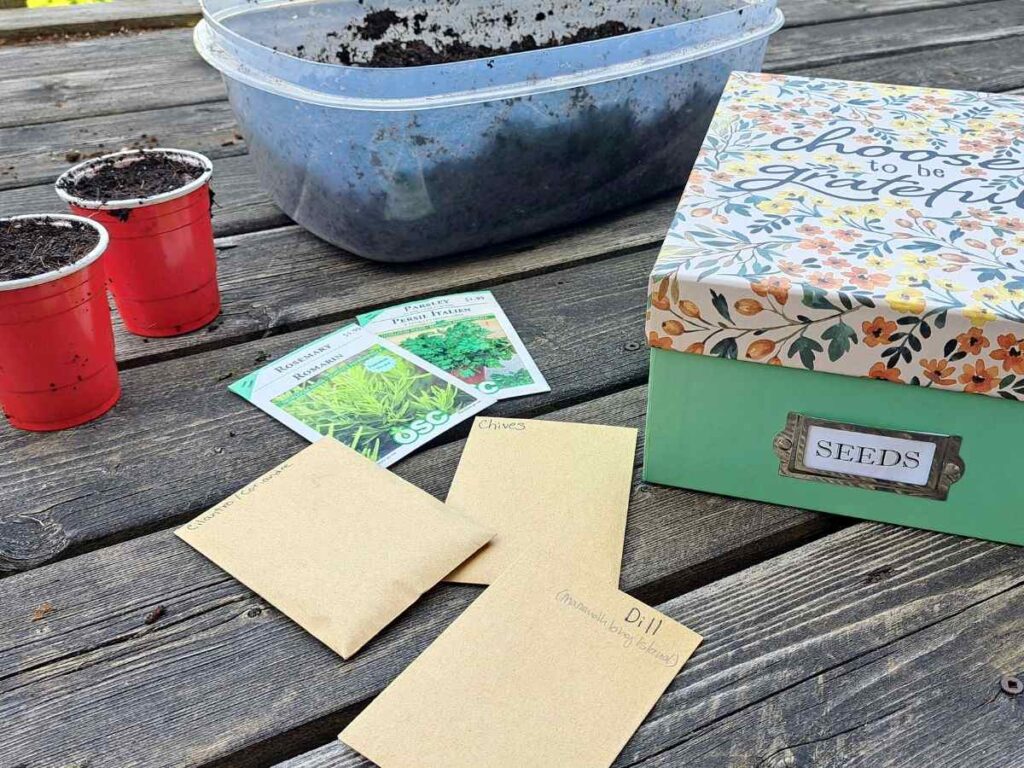 Seed starting supplies laid out on a wooden deck to grow dill from seed outside.