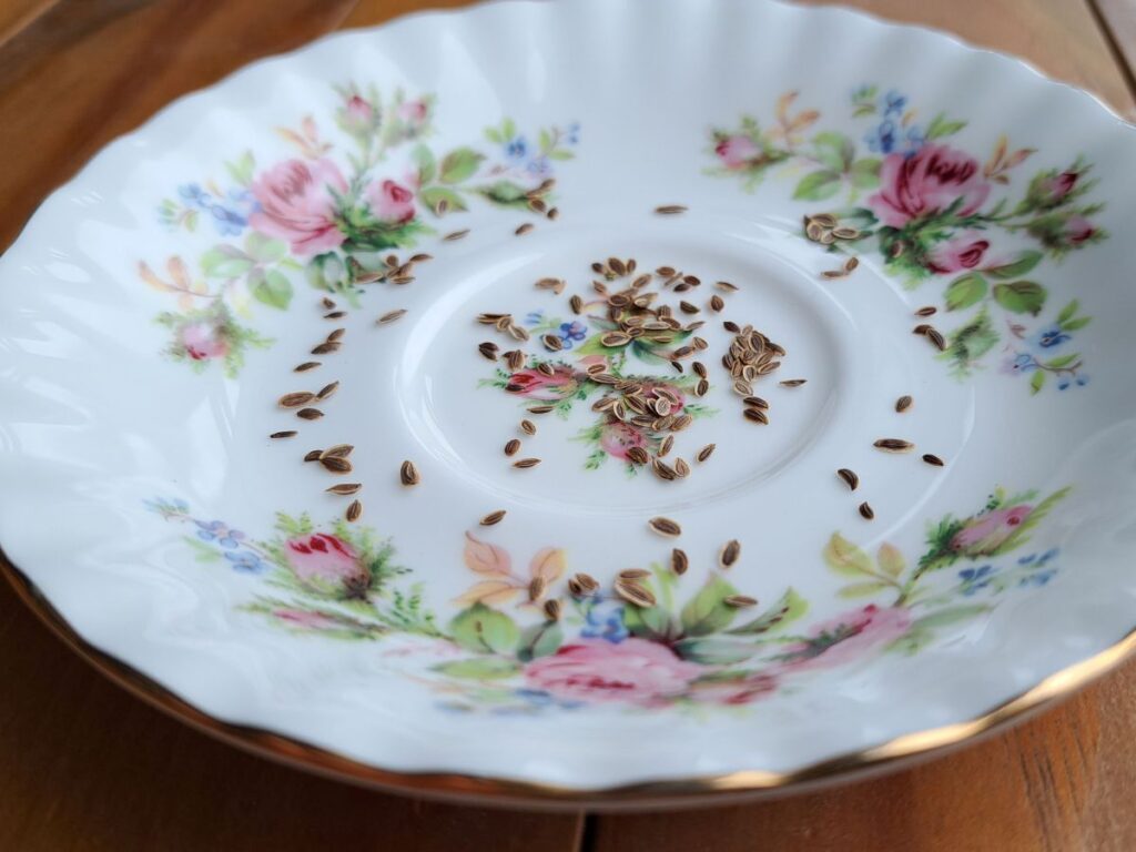A close up of dill seeds on an antique floral plate.