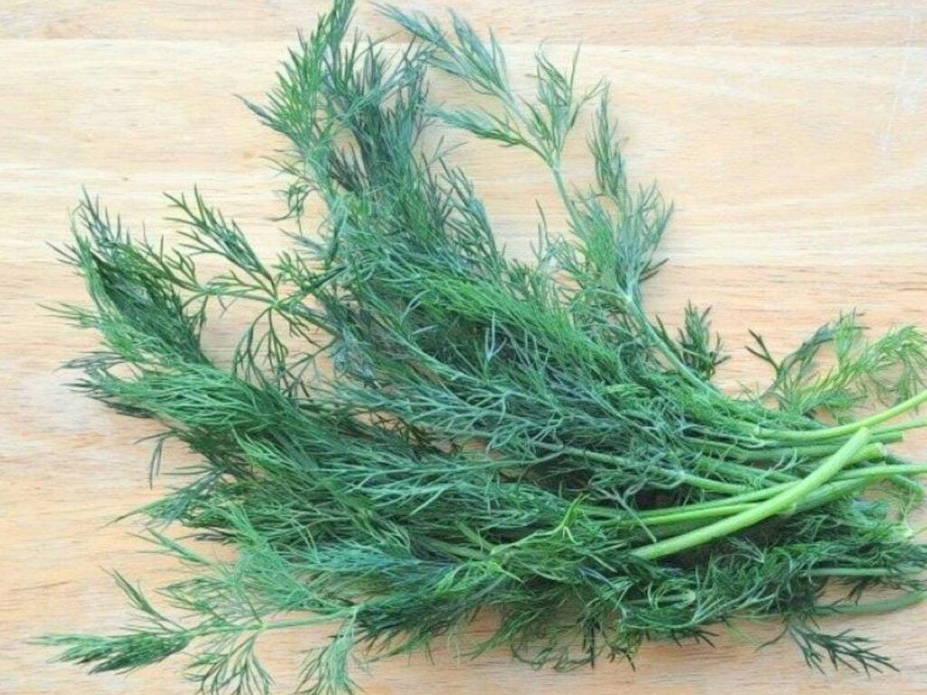 A close up of fresh cut dill on a wooden cutting board.