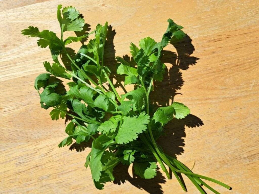 Fresh cut cilantro on a wooden cutting board.