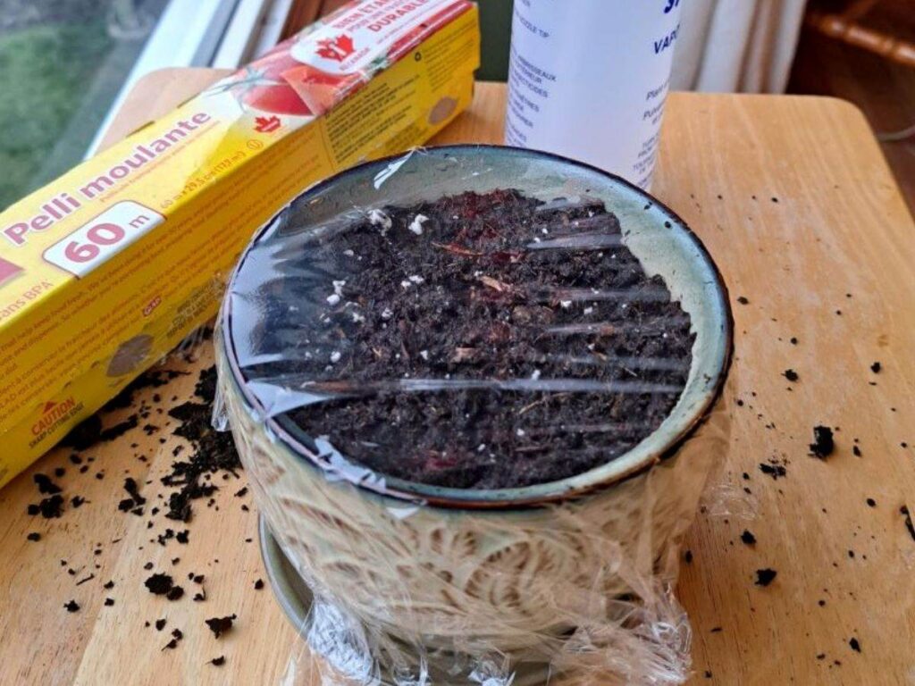 A small planter with dirt and plastic wrap over top sitting on a wooden table.