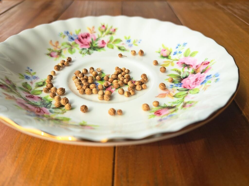 A close up of cilantro seeds on a vintage floral plate sitting on a wooden counter.
