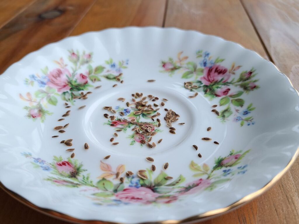 Parsley seeds on a vintage floral patterned plate.