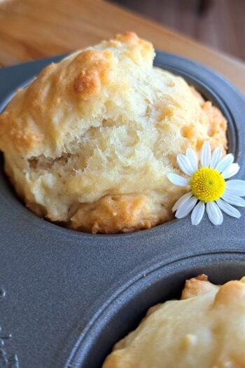 A close up of a honey chamomile muffin in a muffin tin with a chamomile flower on it.