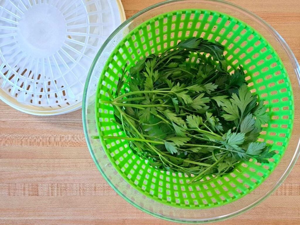 Freshly washed parsley leaves being dried in a salad spinner.